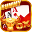 rummy game 365